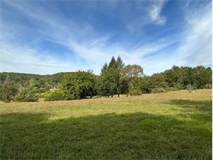 terrain à la vente -   24800  SAINT JEAN DE COLE, surface 2696 m2 vente terrain - UBI442978766